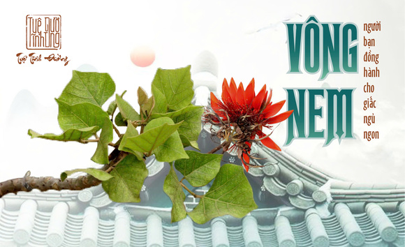 Lạc tiên và Vông nem: Lựa chọn tự nhiên cho người mất ngủ kinh niên 