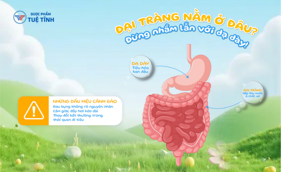 Viêm dạ dày và viêm đại tràng khác nhau như nào?