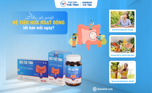 Điều gì giúp hệ tiêu hóa hoạt động tốt hơn mỗi ngày? 
